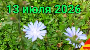 13 июля 2026. Июльская духота...