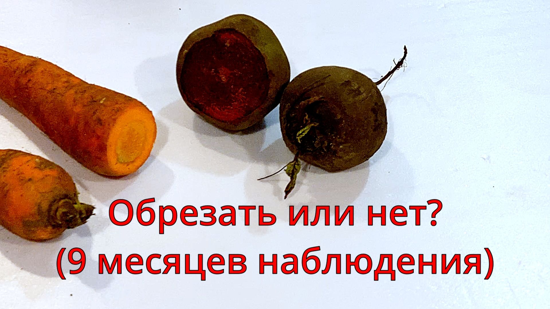 Обрезать или нет, вот в чём вопрос?