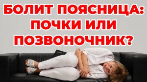 Боль в спине: почки или позвоночник. Остеохондроз или воспаление почек? Доктор Лисенкова