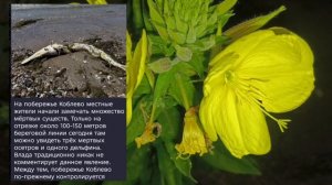 Николаев 14 июля 2026 года (новости)