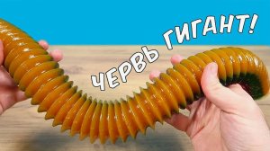 Вырастил огромного желейного Червя! Он как живой! И бросил его в Блендер