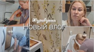 Открыли арбузный сезон.Обновка для дома.Чистый 🐈