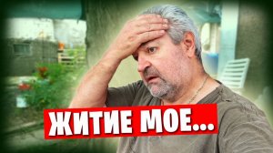 Наша жизнь в Донецке /  Какие выходные могут быть летом?