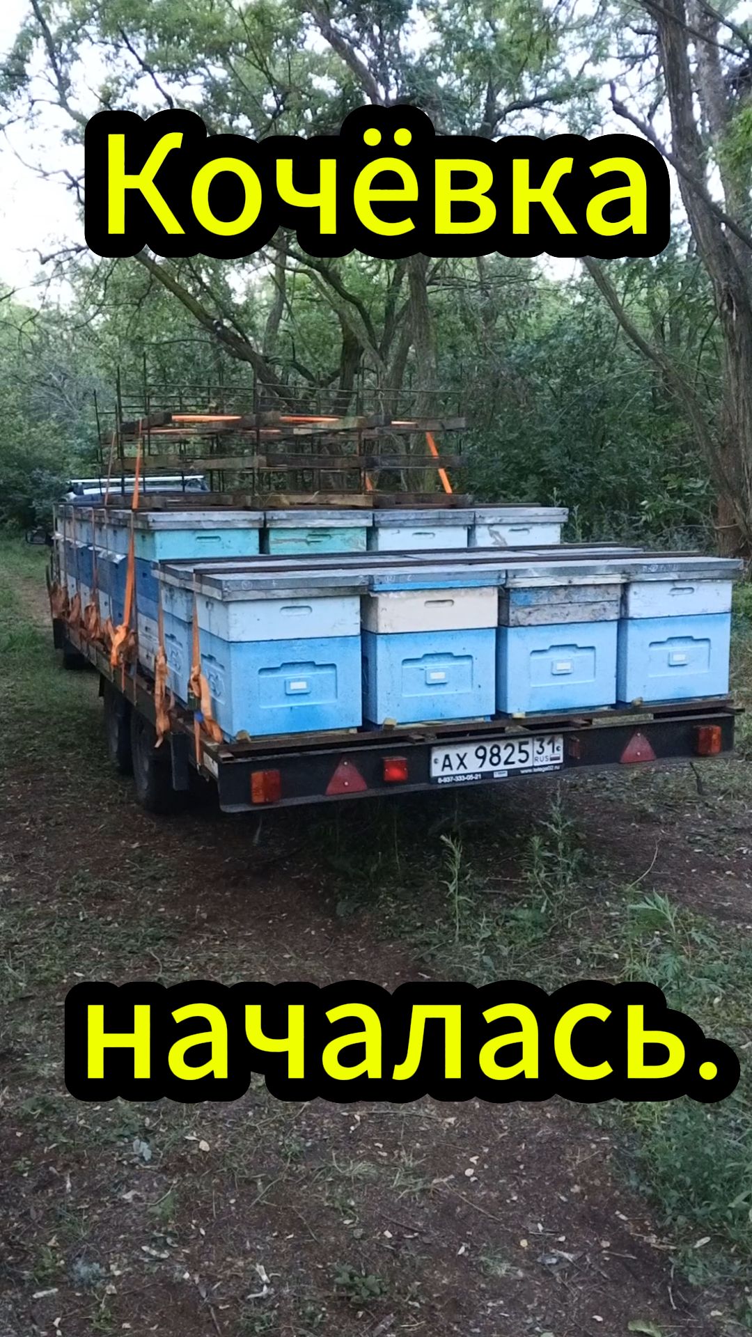 Особенности кочёвки на нашей пасеке.