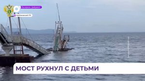 Пешеходный мост рухнул в Артеме в бухте Муравьиной
