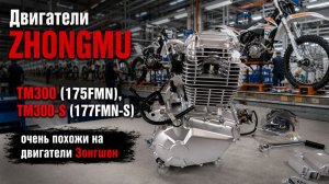 Двигатель ZHONGMU TM300 (175 FMN) для эндуро, 4т. 271 см3,  электро и кик стартер, 5МКПП