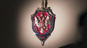 ФСБ пресекла подготовку теракта с использованием роя дронов в Амурской области