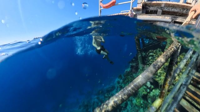 Мурат ныряет в красном море Египет смотреть онлайн