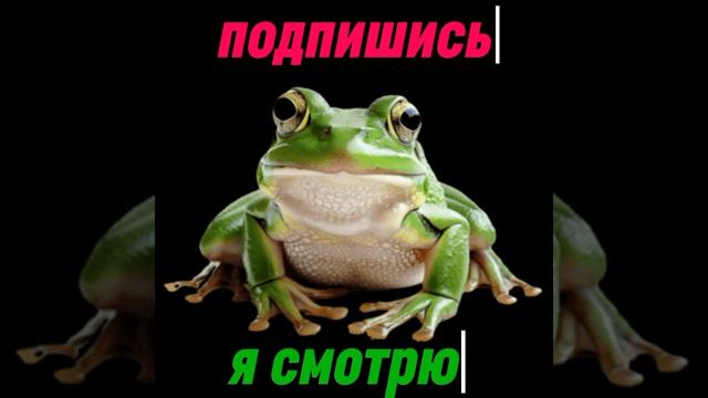 Подпишись.mp4 смотреть онлайн