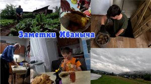 Кулинар Иваныч: чебуреки для внучат, окучиваем капусту.