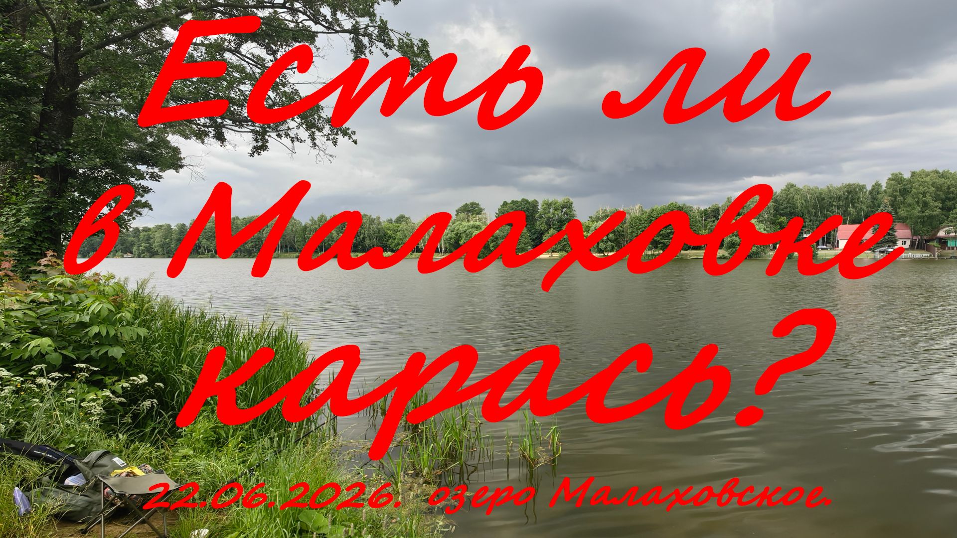 Есть ли в Малаховке карась?. 22.06.2026.Озеро Малаховское. Рыбалка в Московской области. смотреть онлайн