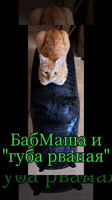 рваная губа