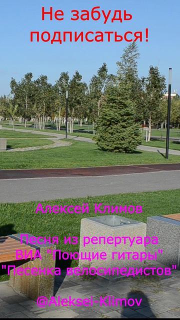 Шортс