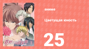 Цветущая юность 25 серия (аниме-сериал, 2009)