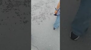 КВД сходка? да это сходка наконец из 6 человек, приятного просмотра и ещё простите за начало
