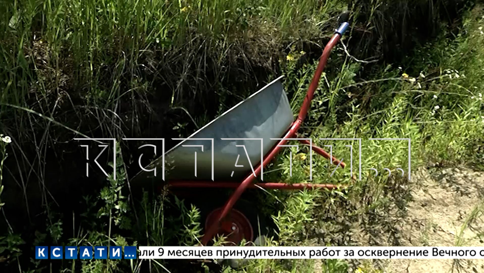 Семью прокурора в жертву мошенничества превратил бывший сотрудник полиции смотреть онлайн