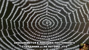 ГЛАВНЫЙ СЕКРЕТ ЖЕНЩИН — Юнг рассказал как есть