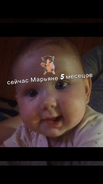 lv_0_20260713160831.mp4 смотреть онлайн
