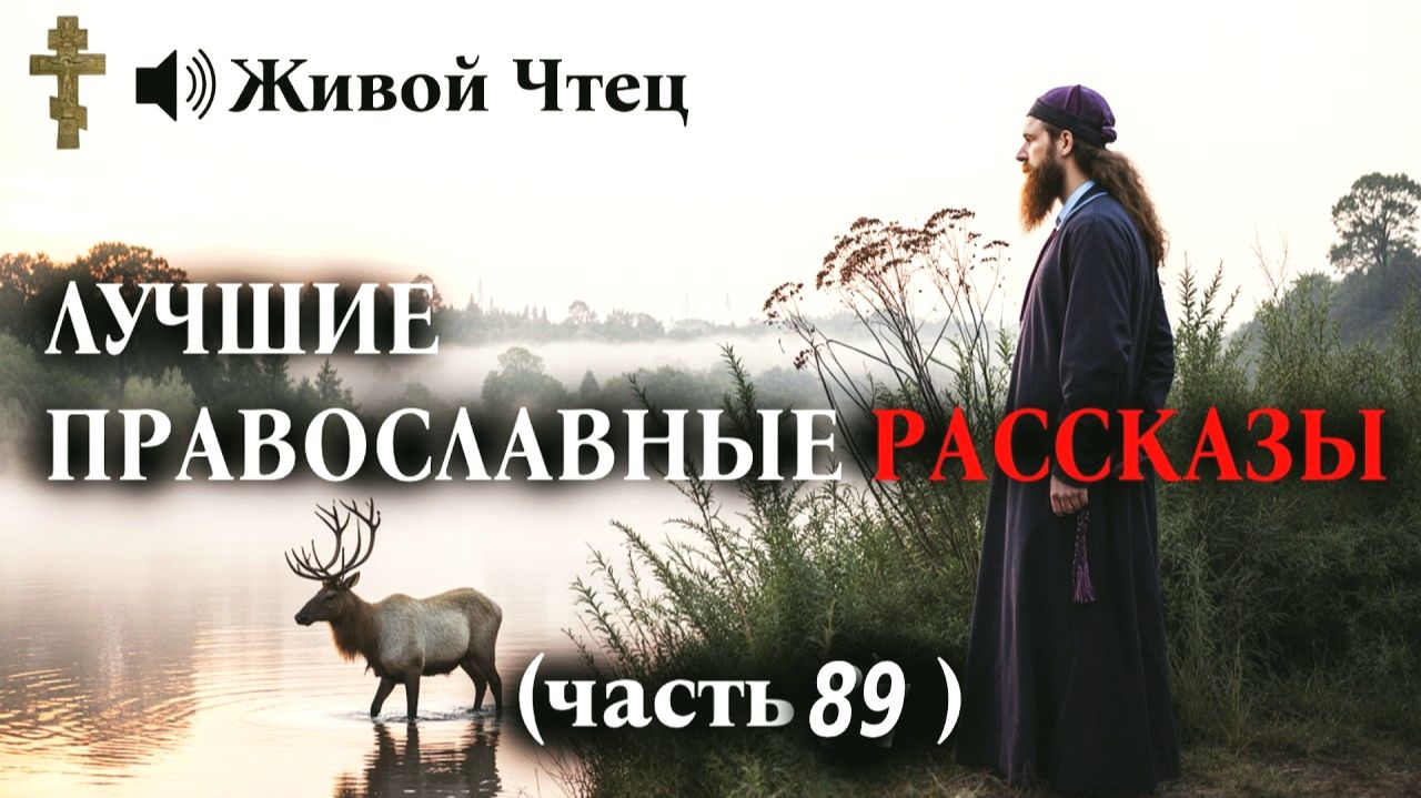 МУЖ И ДОЧЬ ВЫГНАЛИ ЕЁ ИЗ ДОМА ЗА ВЕРУ... ЛУЧШИЕ ПРАВОСЛАВНЫЕ РАССКАЗЫ часть 89 смотреть онлайн