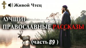 МУЖ И ДОЧЬ ВЫГНАЛИ ЕЁ ИЗ ДОМА ЗА ВЕРУ... ЛУЧШИЕ ПРАВОСЛАВНЫЕ РАССКАЗЫ часть 89