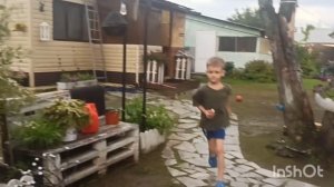 Живём в деревне, внуки скучать не дадут, завели кота.