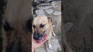 Для новых подписчиков