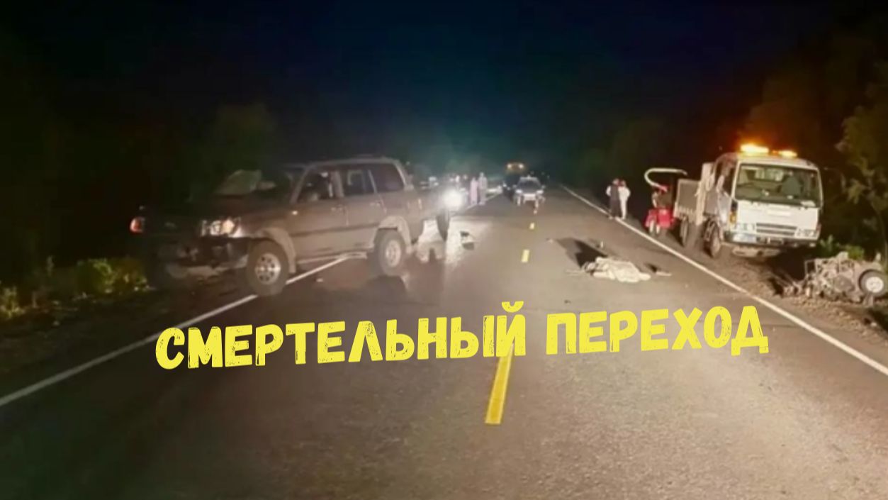 СМЕРТЕЛЬНЫЙ ПЕРЕХОД\\слепая зона\сбил и уехал\в темноте\дети во дворе\лучше спешиться\ смотреть онлайн