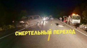 СМЕРТЕЛЬНЫЙ ПЕРЕХОД\\слепая зона\сбил и уехал\в темноте\дети во дворе\лучше спешиться\