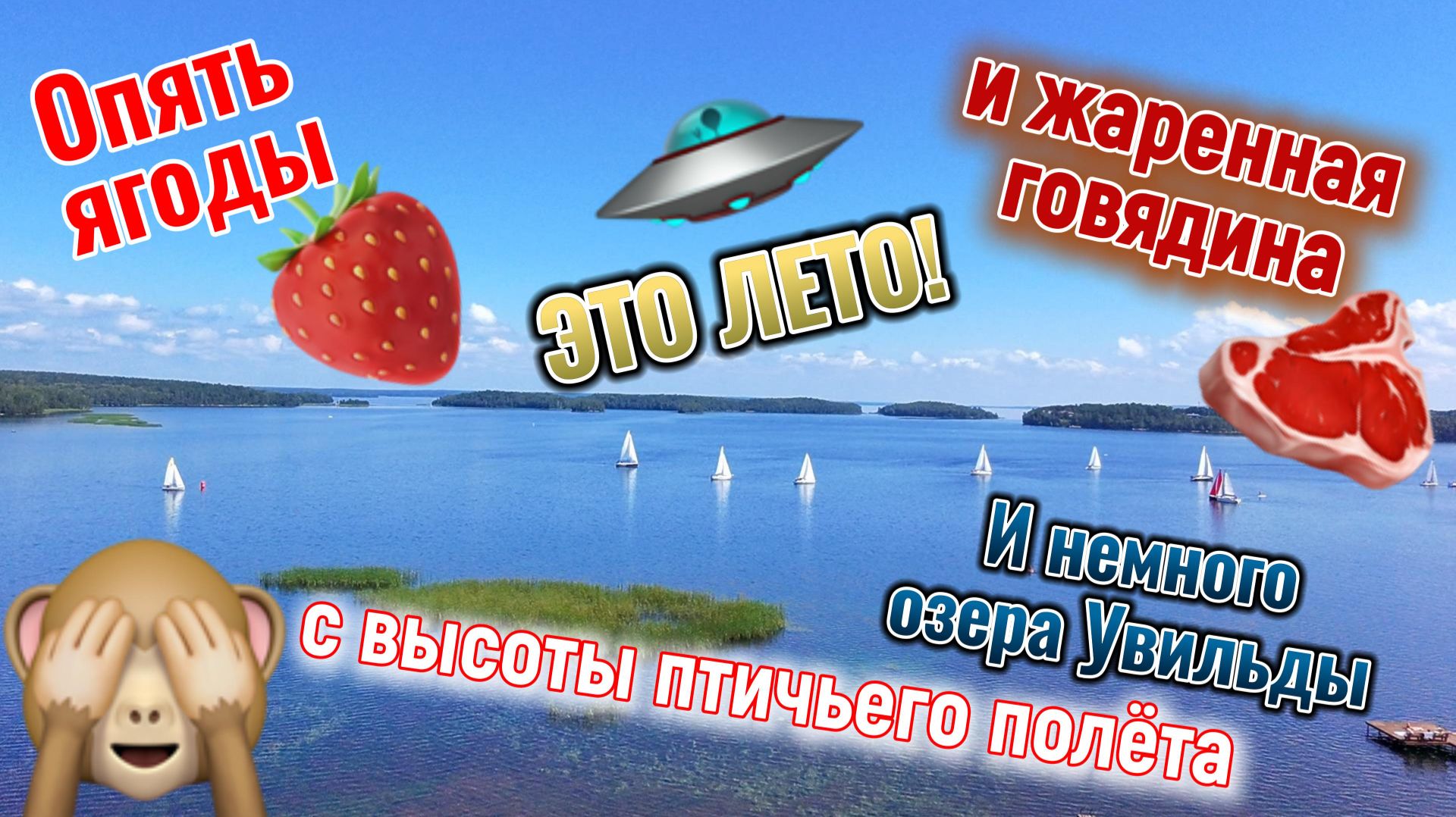 Дачная жизнь