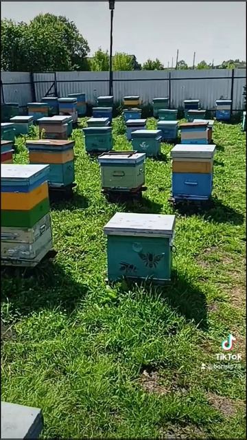 🐝❤️🐝❤️🐝🐝🐝❤️❤️❤️❤️ смотреть онлайн