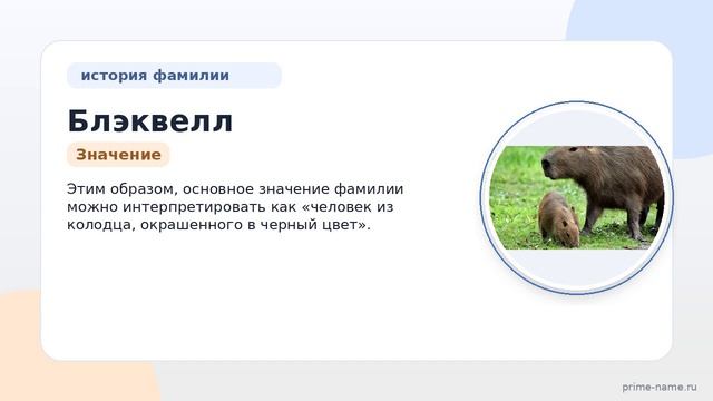 Фамилия Блэквелл: происхождение, значение и склонение