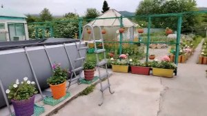 Приобрели генератор.Купили большой прямоугольный бассейн с песочным фильтром.