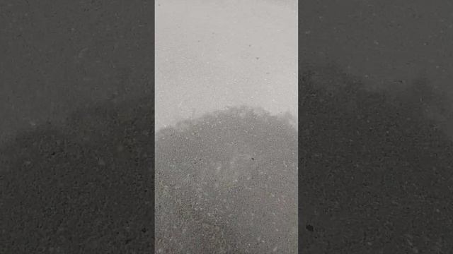 ш смотреть онлайн