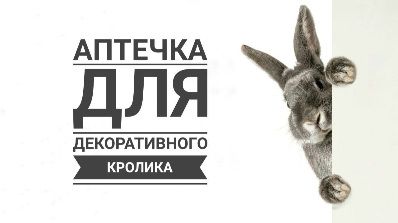 Аптечка для декоративного кролика