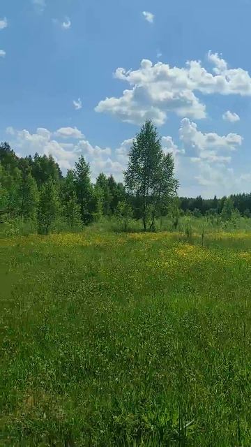 10.07.2026 видео 901