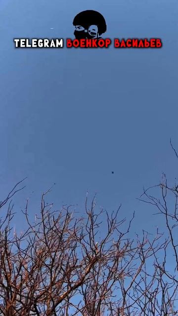 ЗОНА СВО. Российский бойцы против FPV дронов - Военкор Васильев