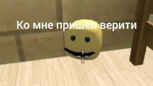 ко мне пришёл верити в чикен ган