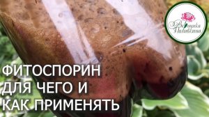 Что нужно знать о фитоспорине