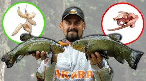 Какая насадка лучше? ЛОВЛЯ ЛИНЯ на поплавочную удочку летом в июле