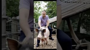 ссаная лаечка