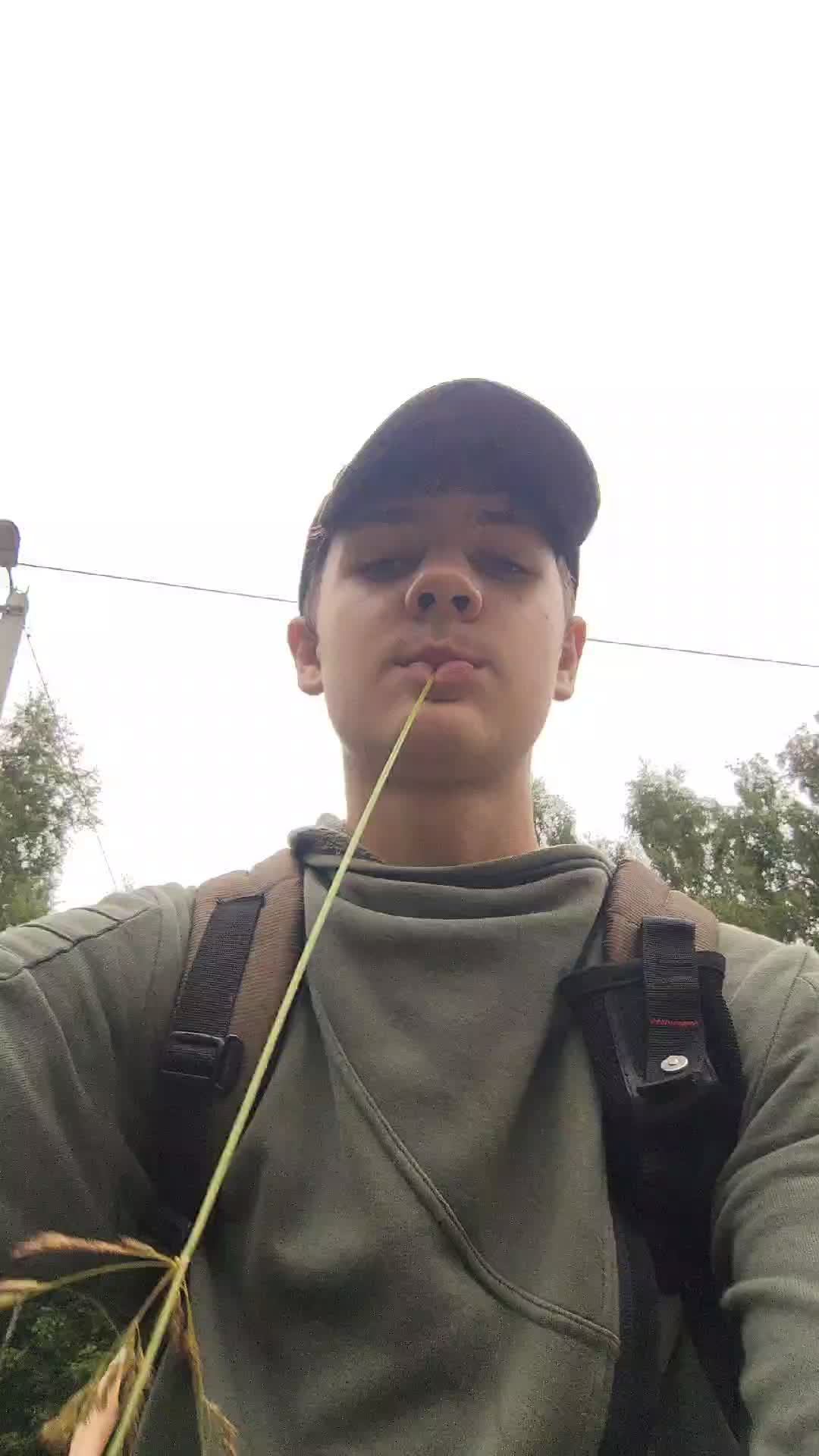 покатушки чеек