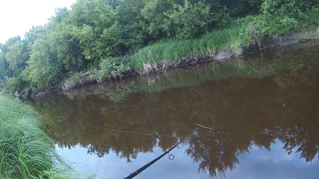 Закинул Вертушку под Кувшинку и она схватила!  Ловля Щуки и Окуня на Вертушку