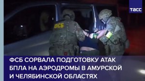 ФСБ сорвала подготовку атак БПЛА на военные аэродромы в Амурской и Челябинской областях
