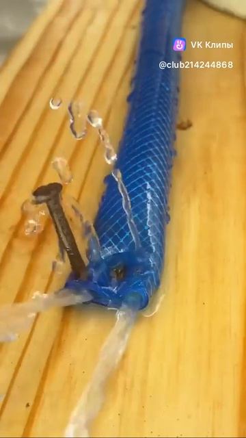 Vkclips_20260713084001