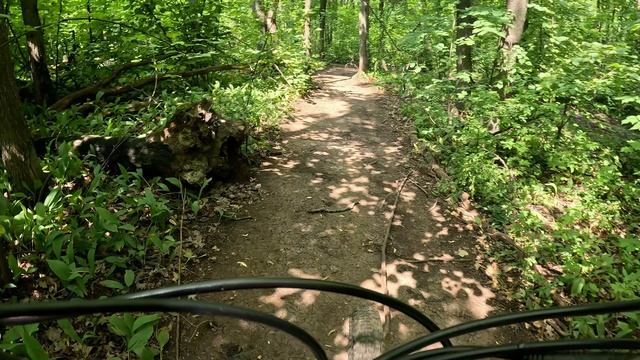На Лысую гору через Дубки 12.07.2026