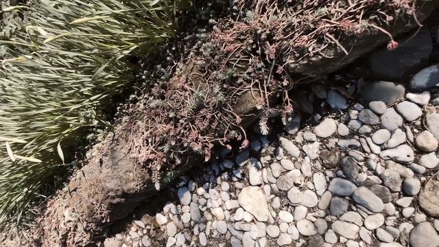 Один из дней города Евпатории | 9 апреля 2022 год | Крым ХАН БАТОН XAH 6ATOH | VID_20220409_143336