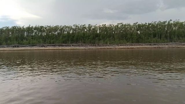 12-07-2026 Ход 5