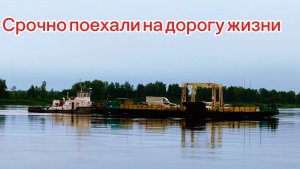 Красим ворота) встретились с дочей, привезли кошку.