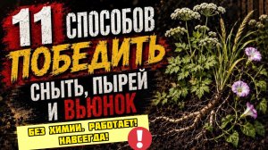 Сныть, пырей и вьюнок больше не вырастут! Метод борьбы с сорняками