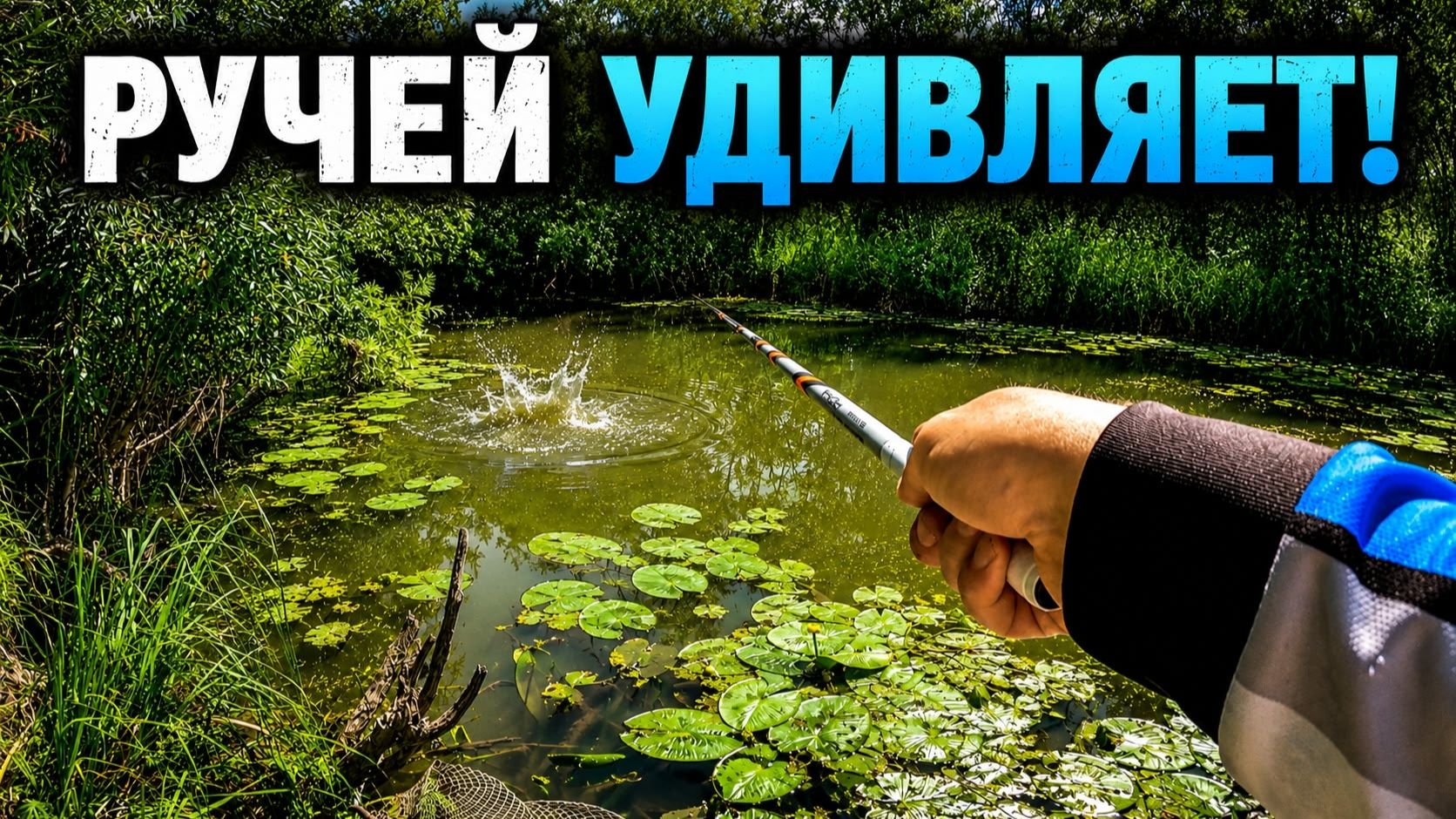 НЕ ЛОВИЛ ТАКОЕ 20 ЛЕТ! Закинул поплавок в РУЧЕЙ и ОНО ВЗЯЛО! Рыбалка 2026 смотреть онлайн